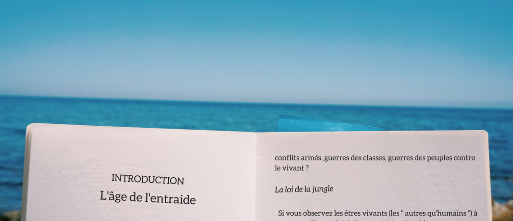 Sélection de livres éco-responsables pour l'été 2018- Label LUCIE