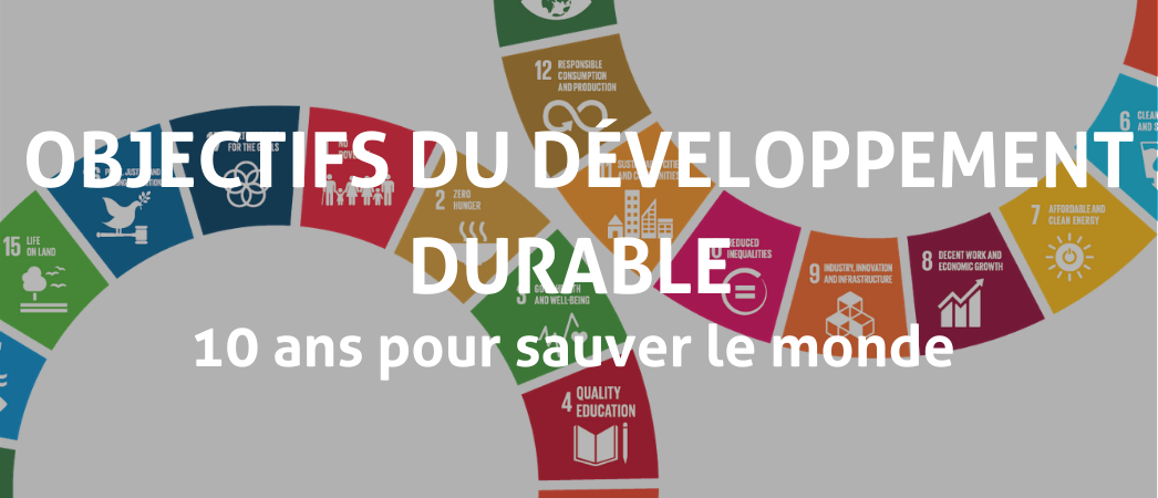 Objectifs du Développement Durable (ODD) - 10 ans pour changer le monde